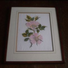 Cross Stitches Wall Frame