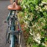 Bicycle Ladies Image 3
