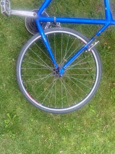 trek bike