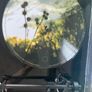 Earth - Hibernaculum (Limited Picture Disc) Image 4