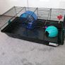 Hamster cage Image 2