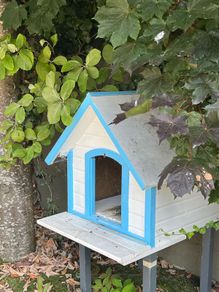 Dog kennel