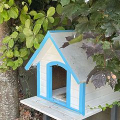 Dog kennel