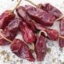 seeds Image 7