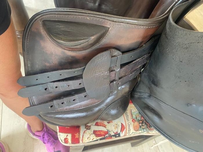 Saddle