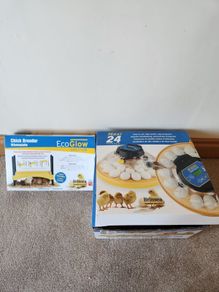 24 egg Incubator