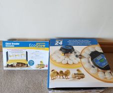 24 egg Incubator