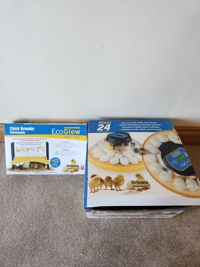 24 egg Incubator