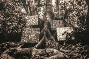 Kamasi Washington Harmony of difference lp