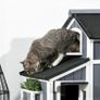 Wooden Cat House 2-Floor Outdoor Kitten Shelter with Window Grey Image 10