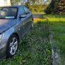 bmw alloys Image 6