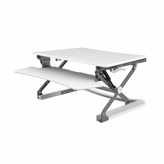 Standing Desk