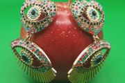 Beautiful jewelled earrings, D18 post 3e