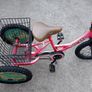 16 inch trike bicycle Image 2