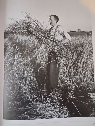 An Irish Century / 1845-1945/ From the Famine to World War 2/ Stephen Small / 1998
