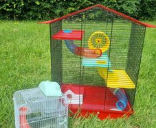 Cage for hamsters and mice