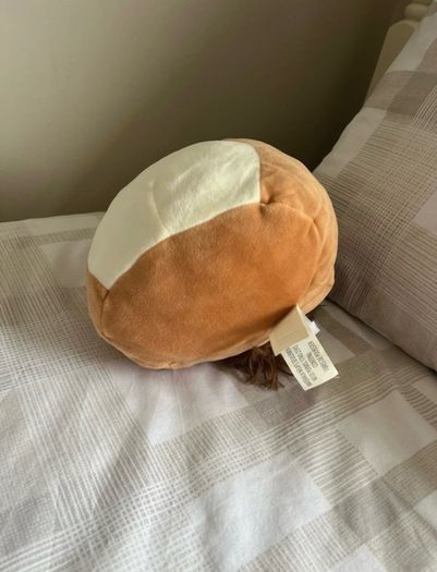 Sawyer the Squirrel Squishmallow