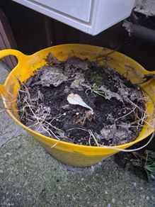 free topsoil