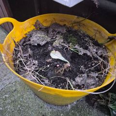 free topsoil
