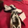 Ladies size 5 golf shoes Image 10