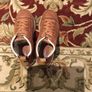 Skechers Shoes size EU-38, UK-5 Image 3