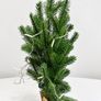 Pre Owned Tabletop Tree, Lights & Baubles Bundle Image 2