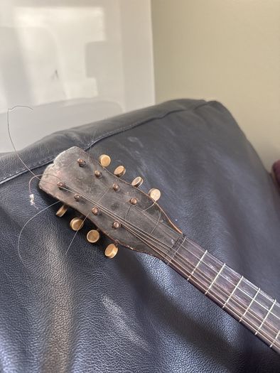 mandolin