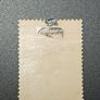 1919 1922 Austria & Hungary Newspaper Stamps Image 5