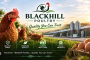 blackhill poultry
