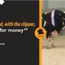 ErgoPro (450w Mains) Sheep & Cattle Clipper Image 5
