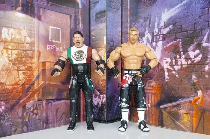 WWE Jakks Pacific Figures