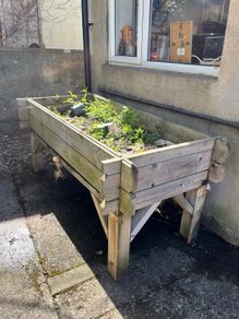 planter - vegetable patch