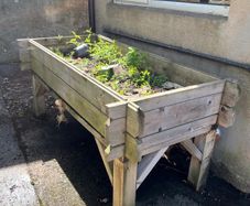 planter - vegetable patch