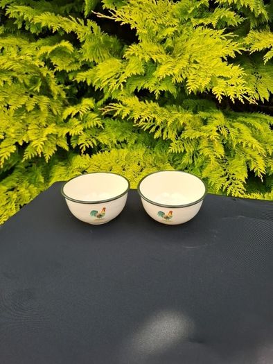 2 chicken enamel bowls possible to post
