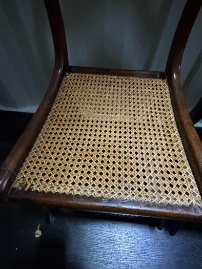A Rare Pair of Regency Cut-Brass & Rosewood Side Chairs (c. 1820) - Celebrating 200 Years of Craftsmanship