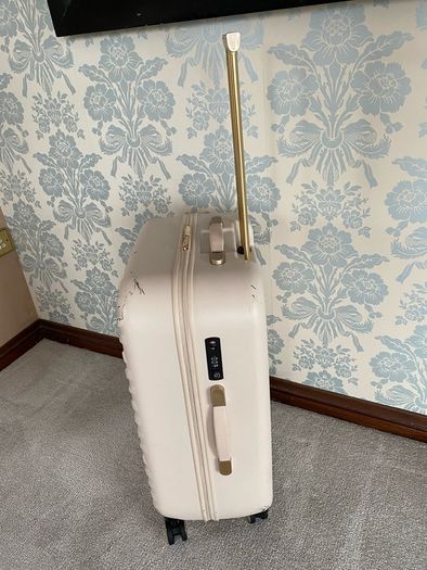 Suitcase Ted Baker Large Case