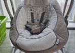 ingenuity baby bouncer