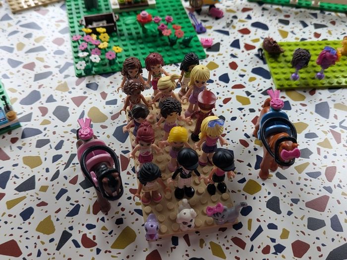 Lego Friends Job Lot Bundle Bulk