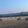 Straw bales Image 4