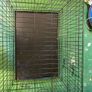 Large Dog Cage Image 2