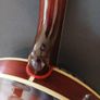 westfield remo four string tenner banjo Image 10