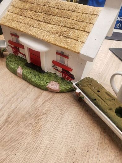 Thatched cottage  14 x 9 inches