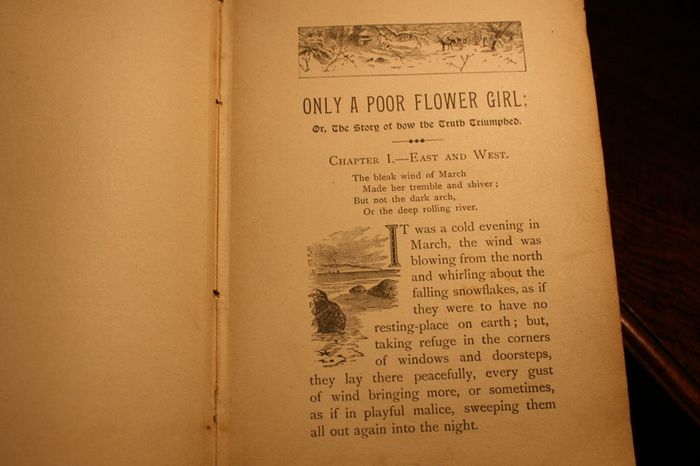 Only a Flower Girl (M. B. Paxton - 0)