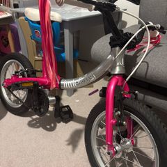 Little big bike