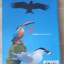 Special Protection Areas for Birds in Ireland - Bird Guide Image 2