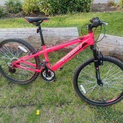 Mountain Bike 24 inch Wheels