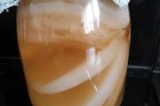 Organic Kombucha scoby with starter tea