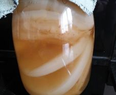 Organic Kombucha Scoby with Starter Tea