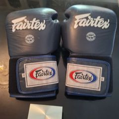 Fairtex BGV1 Boxing Gloves