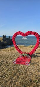 Proposal heart red flower arch for hire or sale